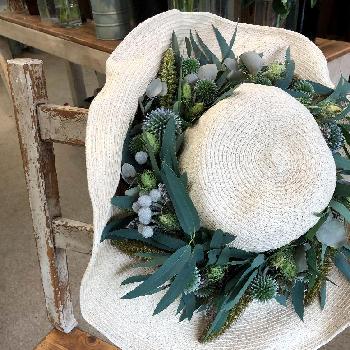 帽子の花飾りの投稿画像一覧 Greensnap グリーンスナップ 帽子の花飾りの投稿画像一覧 Greensnap グリーンスナップ